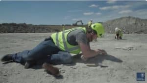 Researchers discover UK’s biggest Dinosaur footprints in quarry site