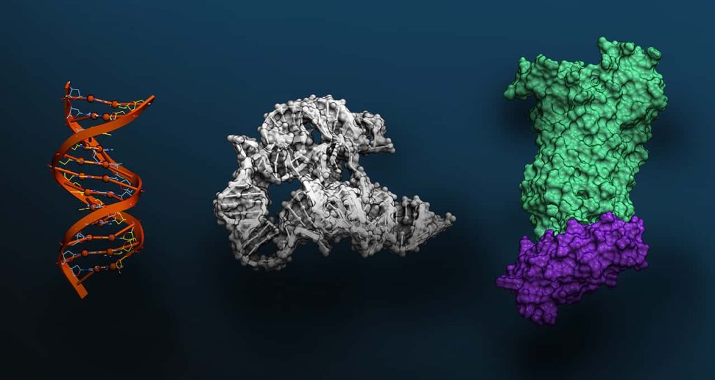 Nvidia unveils ‘largest artificial intelligence system yet’ for genetic research