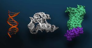 Nvidia unveils ‘largest artificial intelligence system yet’ for genetic research