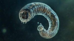 Engineers build legless robot that jumps 10 feet high