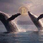 Whales who bought Bitcoin at $10 are now slowing the rally