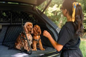 Bentley unveils luxury pet accessories for the Bentayga SUV
