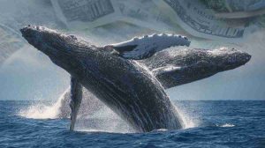 Solana’s biggest support yet? Whales drop anchor at $189