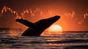 Analysts Alert: Bitcoin Whales May Be Quietly Rotating Into Monero
