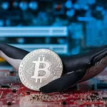 Bitcoin Whales Keep Buying as Institutional Demand Holds Firm