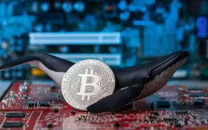 Bitcoin Whales Keep Buying as Institutional Demand Holds Firm