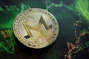 Monero (XMR) Records Gains Amid a Market-Wide Crypto Slump