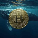 Arkham Breaks Down the Largest Bitcoin Holders in 2026