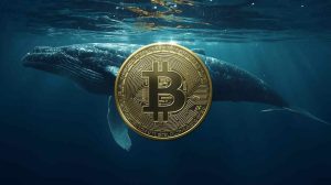 Arkham Breaks Down the Largest Bitcoin Holders in 2026