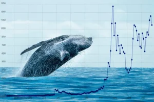Crypto Whale Transfers Spike Ahead of Clarity Act Decision; Here’s Why