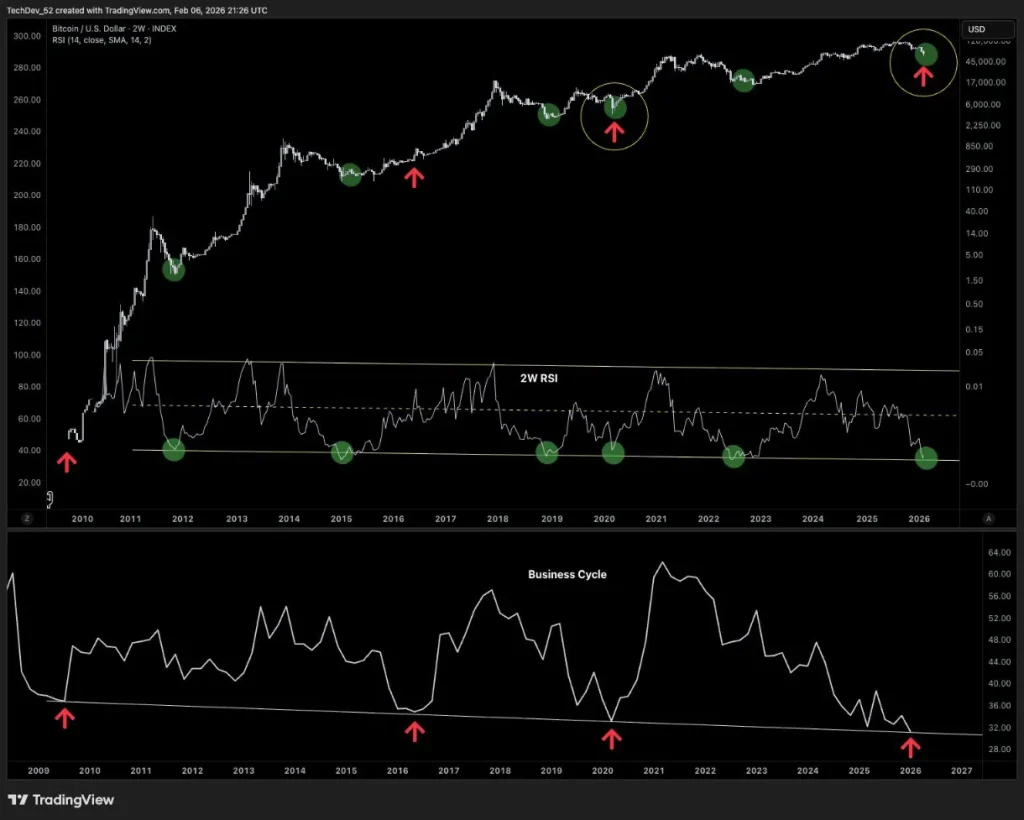 Bitcoin price movement and RSI analysis.