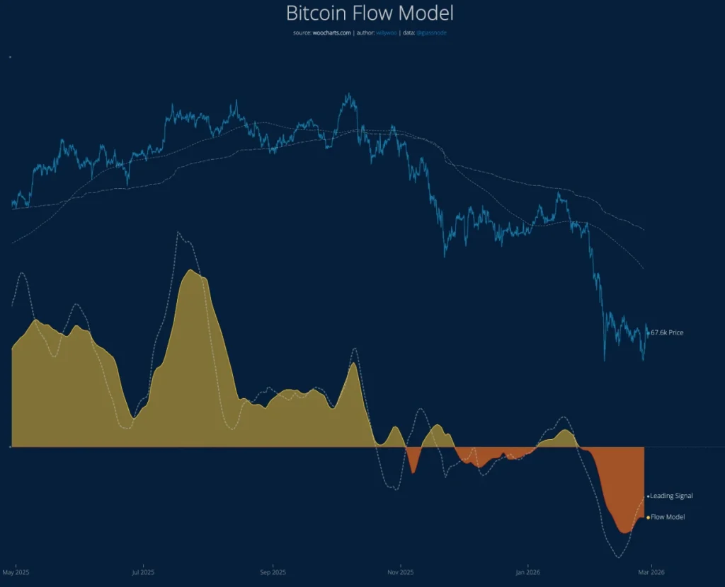 Bitcoin flow model.