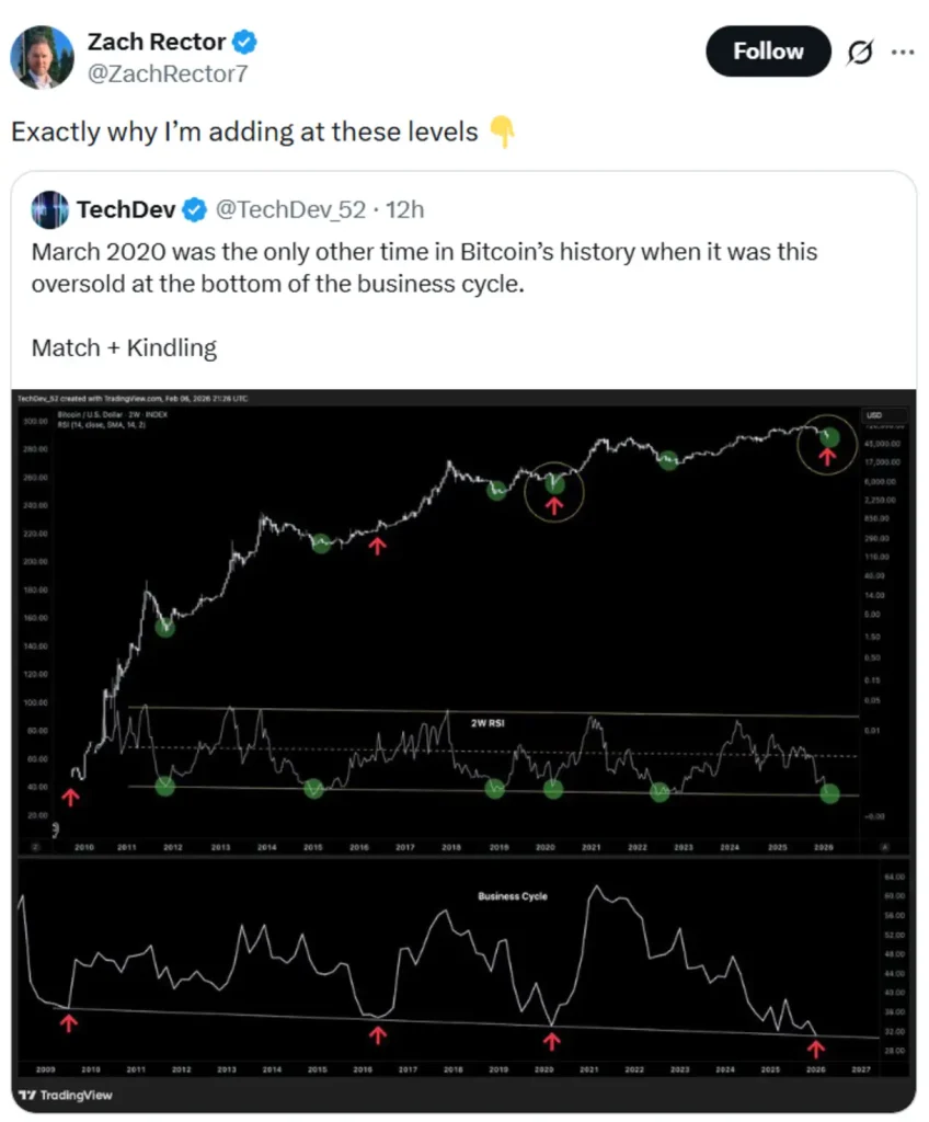 Rector’s comment on TechDev’s analysis.