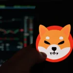 Shiba Inu Breakdown Signals Possible 30% Move