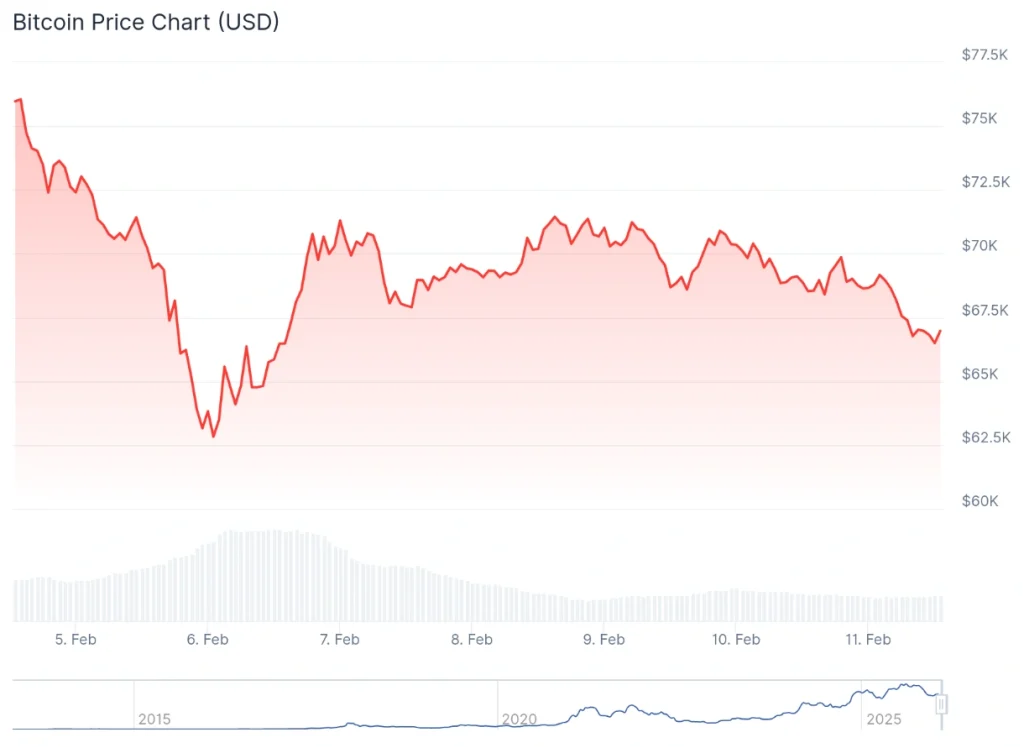 Bitcoin price 7-day chart.