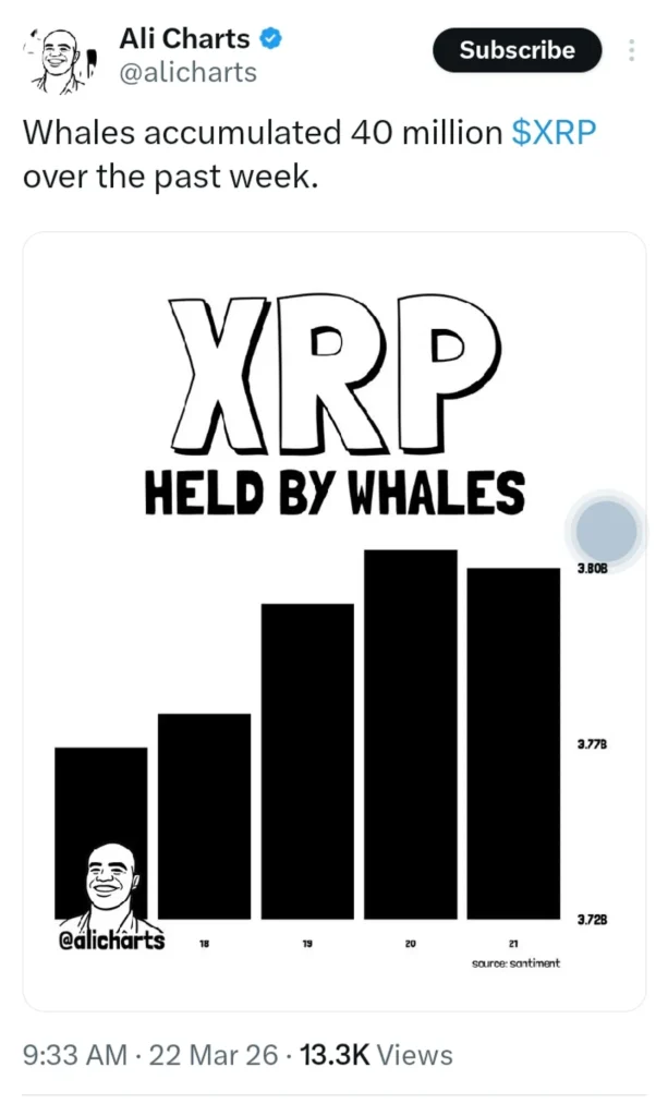 Whales Are Hoarding; SEC Calls XRP a Commodity—Is This the Setup Before the Rip?