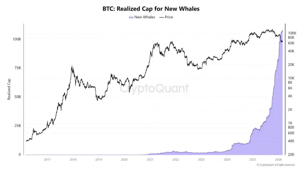 BTC realized cap for new holders.