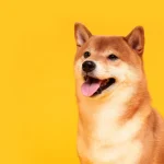 DOGE Forms Bullish Falling Wedge Against Bitcoin; What It Means