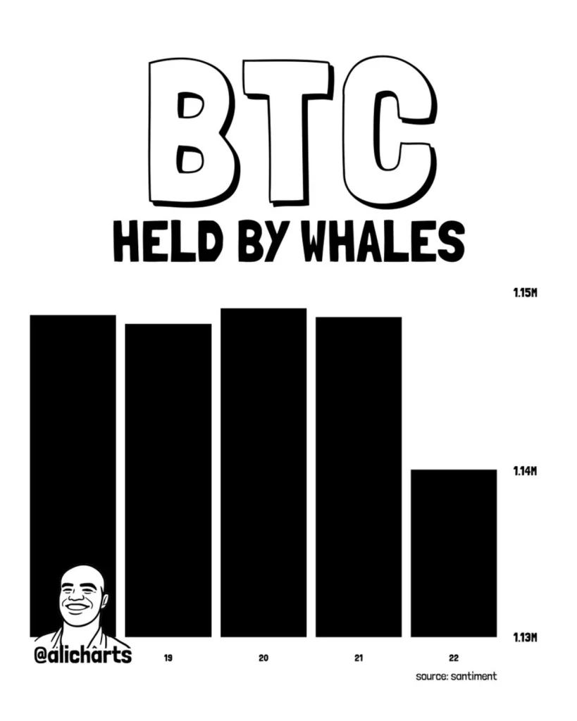 BTC held by whales.