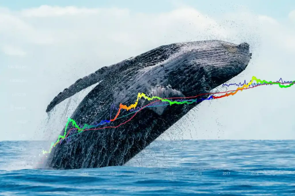 Here’s What Crypto Whales Are Hoarding In March