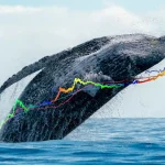 Here’s What Crypto Whales Are Hoarding In March