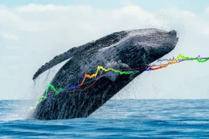 Here’s What Crypto Whales Are Hoarding In March
