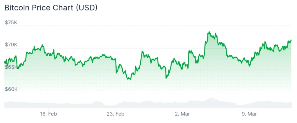 Bitcoin price 30-day chart.