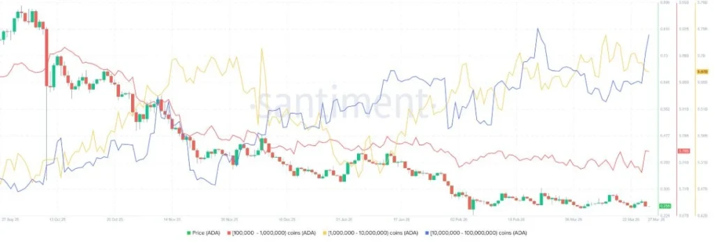 Cardano’s Big Bank Moment: Why Whales Are Buying the Dip Most Traders Are Ignoring