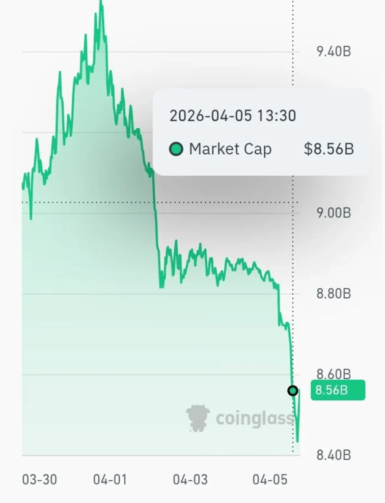 BCH Liquidation Shock: Where Smart Traders Are Positioning Next