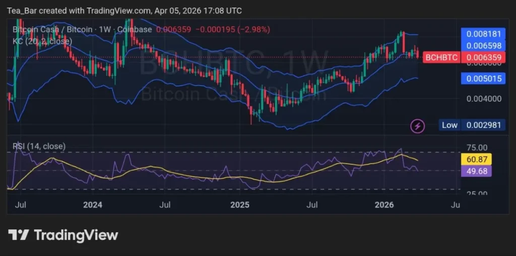 BCH Liquidation Shock: Where Smart Traders Are Positioning Next