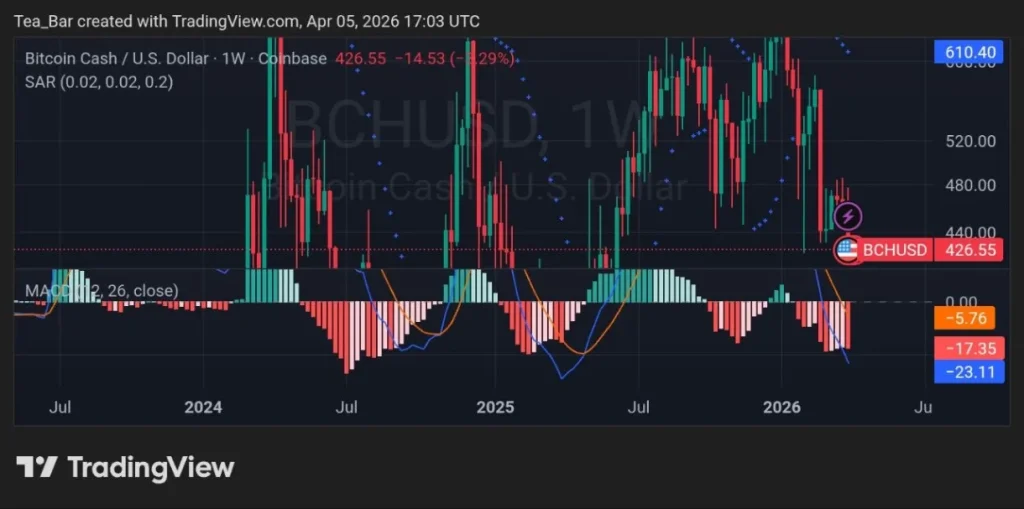 BCH Liquidation Shock: Where Smart Traders Are Positioning Next