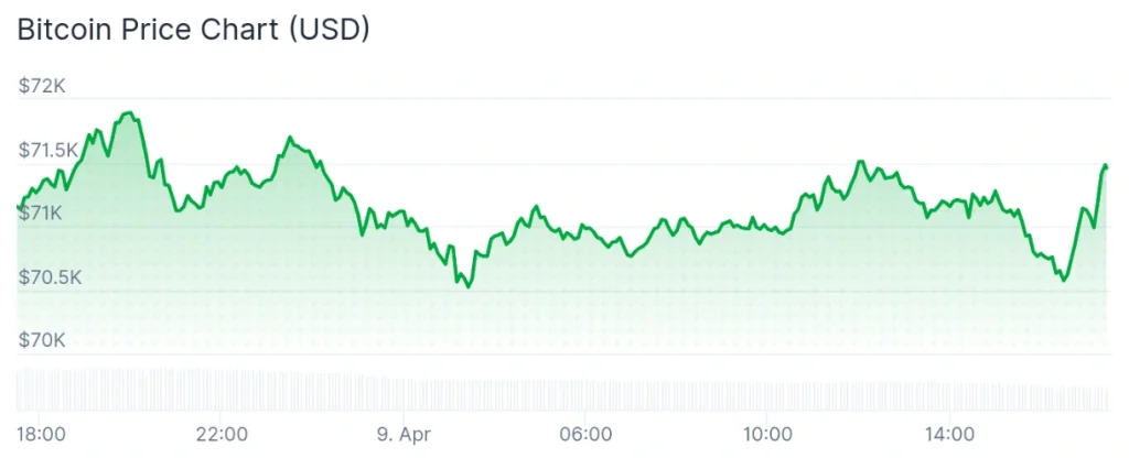 Bitcoin price 24-hour chart.