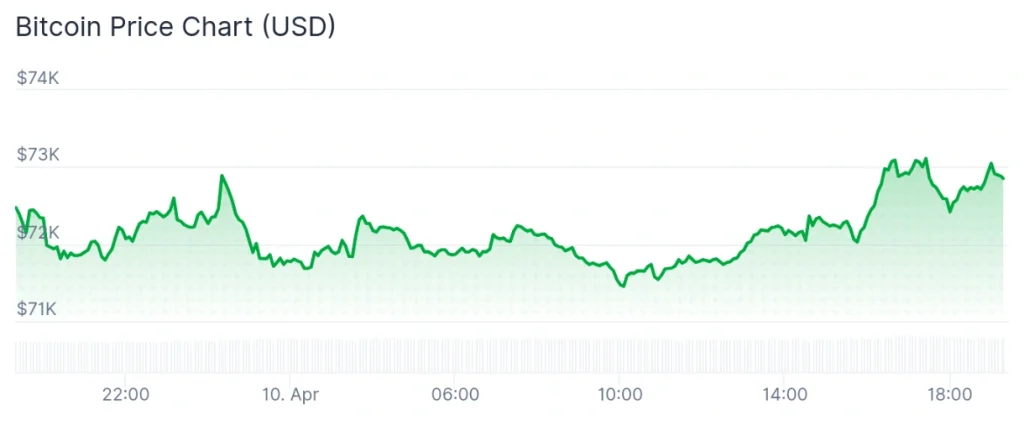 Bitcoin price 24-hour chart.