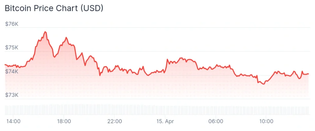 Bitcoin price 24-hour chart.