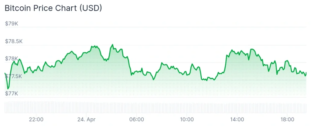 Bitcoin price 24-hour chart.
