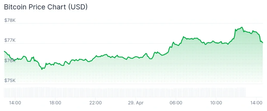 Bitcoin price 24-hour chart.