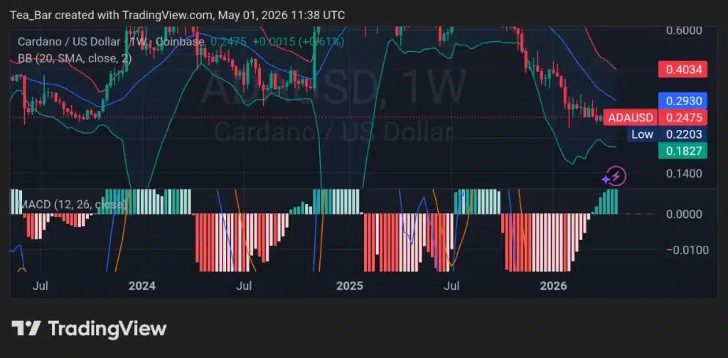 Whales Bought 10M Cardano (ADA) in 3 Days — Smart Money Positioning Early?