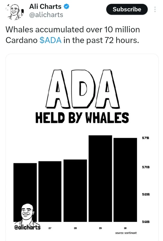 Whales Bought 10M Cardano (ADA) in 3 Days — Smart Money Positioning Early?