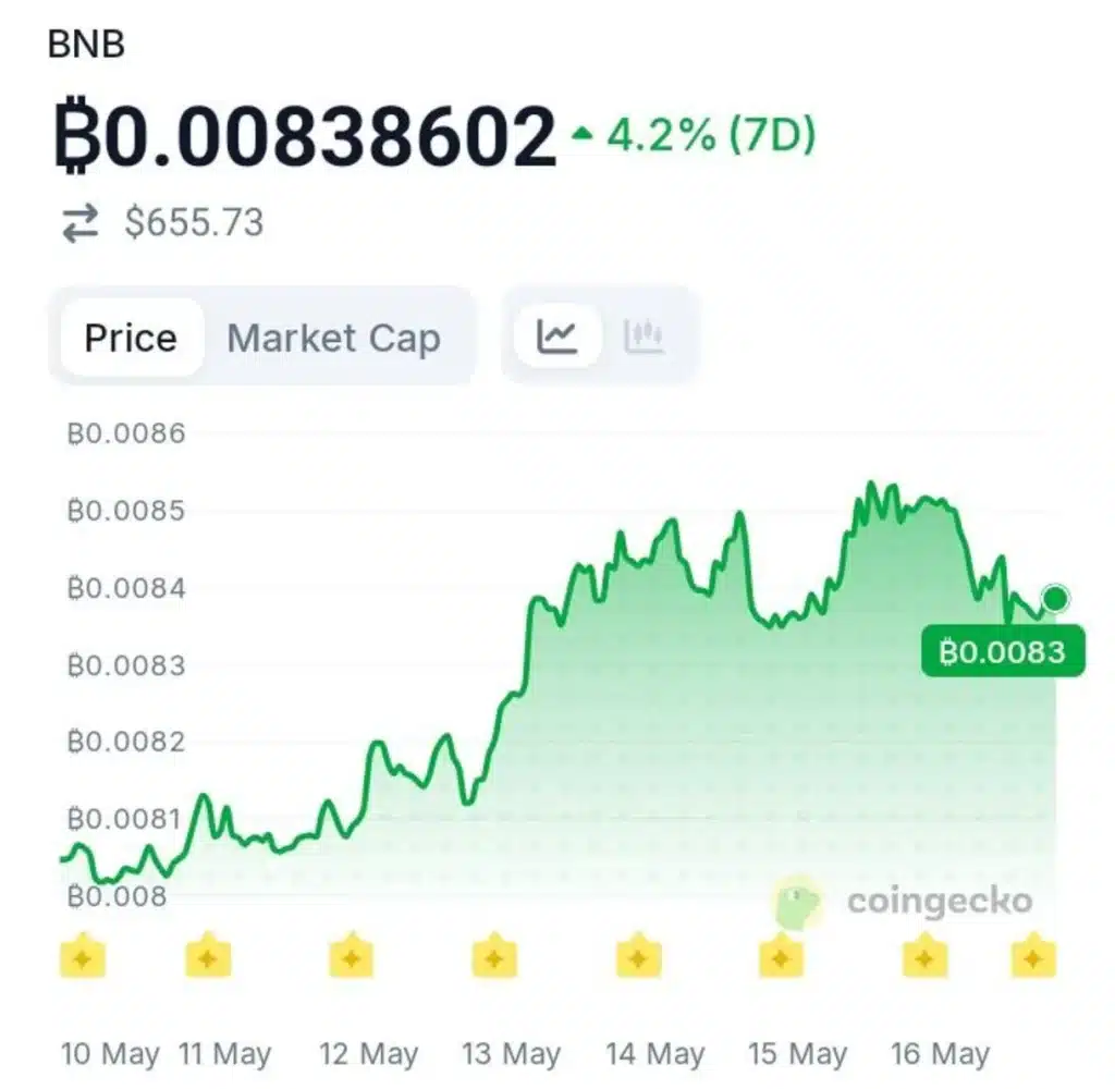 Wall Street Isn’t Giving Up on BNB ETFs: Bigger Altcoin Approval Wave Incoming?