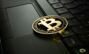 Bitcoin Rebounds Above $81K As Viral Tokens Sink