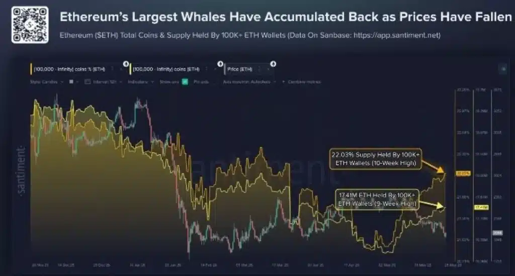 Ethereum Whale Wallets Hit 9-Week High — Market Quietly Entering Positioning Phase