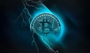 Elon Musk’s SpaceX Unveils Massive Bitcoin Treasury Ahead of IPO
