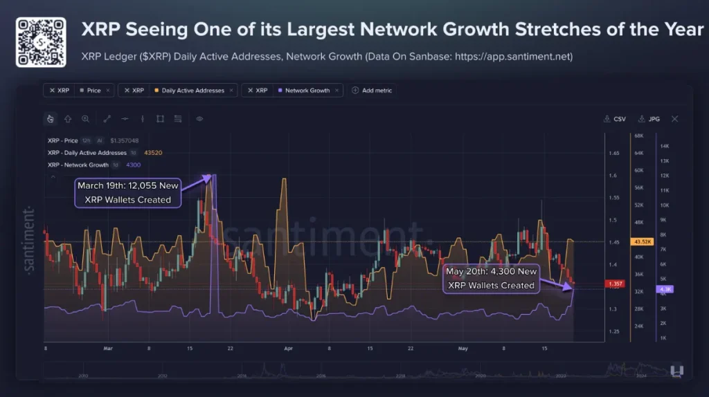 XRP network growth and daily active addresses.