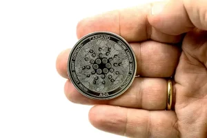 Whales Bought 10 Million Cardano (ADA) in 3 Days — Smart Money Positioning Early?