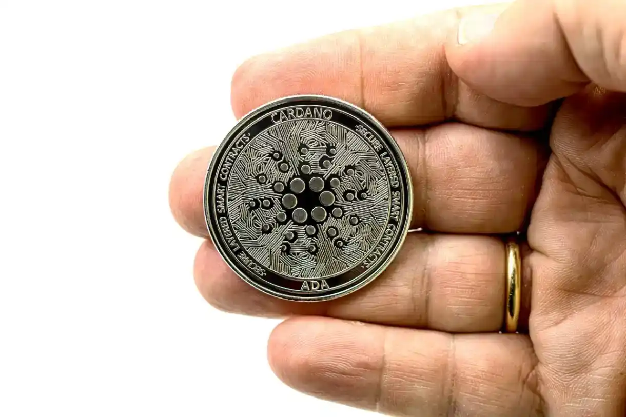 Whales Bought 10 Million Cardano (ADA) in 3 Days — Smart Money Positioning Early?
