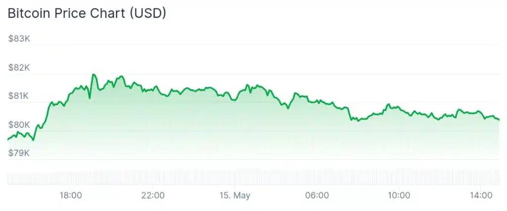 Bitcoin price 24-hour chart.