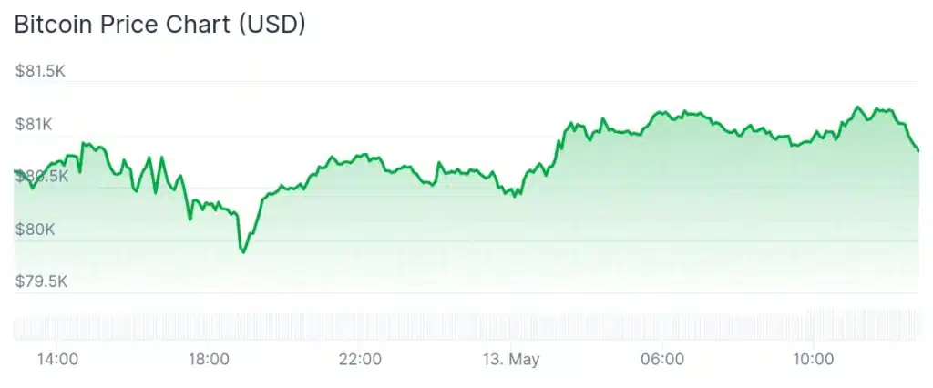 Bitcoin price 24-hour chart.