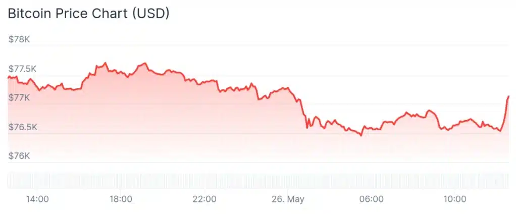 Bitcoin price 24-hour chart.