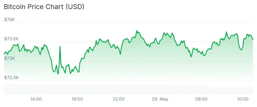 Bitcoin price 24-hour chart.