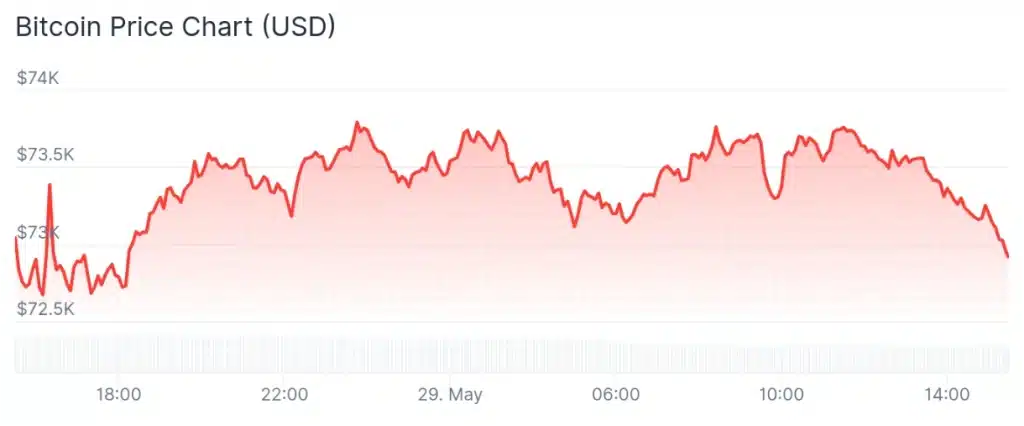 Bitcoin price 24-hour chart.